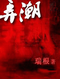 弄潮有声小说